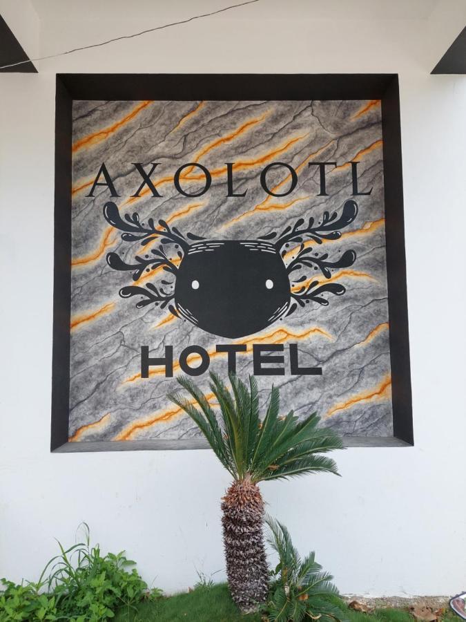 Hotel Axolotl Puerto Escondido  Exterior foto